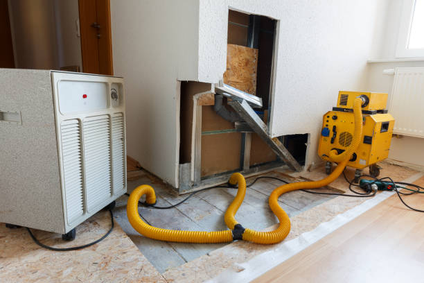 Dehumidification Services